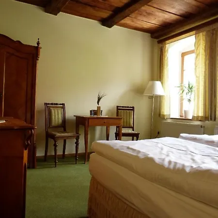 Hotel Und Dreibeiniger Hund