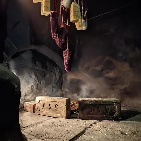 Und Dreibeiniger Hund Hotel 3*