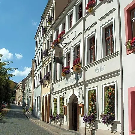 Und Dreibeiniger Hund Görlitz