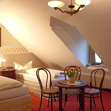 Und Dreibeiniger Hund Otel