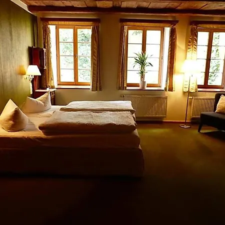 Und Dreibeiniger Hund Otel