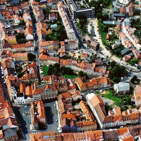 Und Dreibeiniger Hund