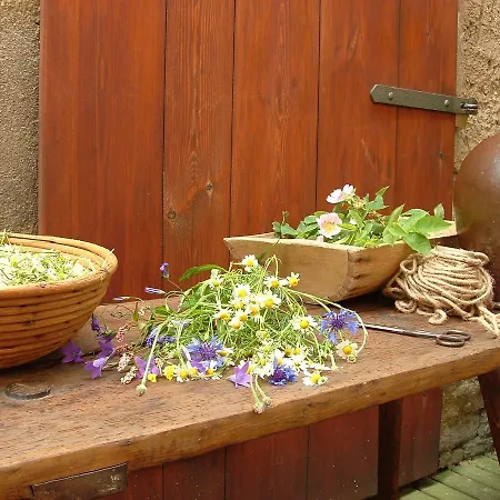 Szálloda Und Dreibeiniger Hund Görlitz