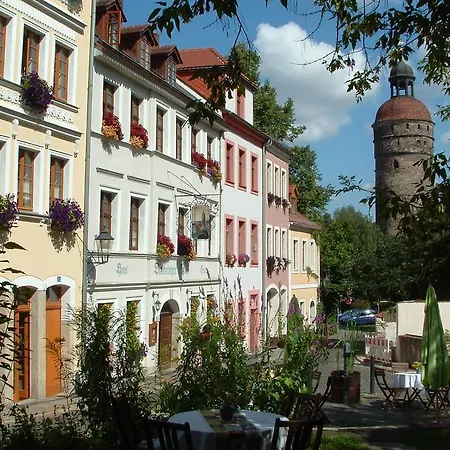 Und Dreibeiniger Hund Görlitz