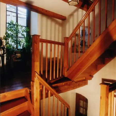 Und Dreibeiniger Hund Szálloda