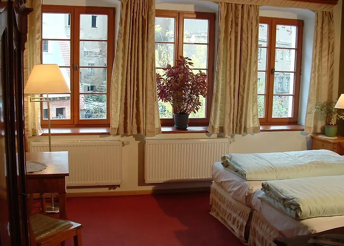 Und Dreibeiniger Hund Hotell Görlitz