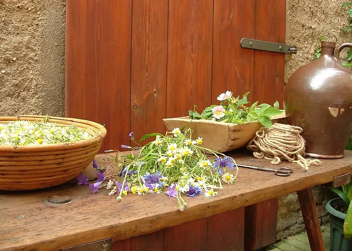 Hotell Und Dreibeiniger Hund Görlitz