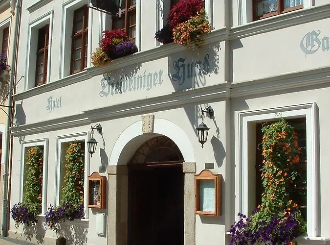 Hotel Und Dreibeiniger Hund