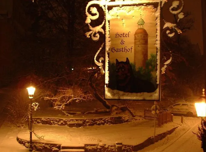 Und Dreibeiniger Hund Hotell