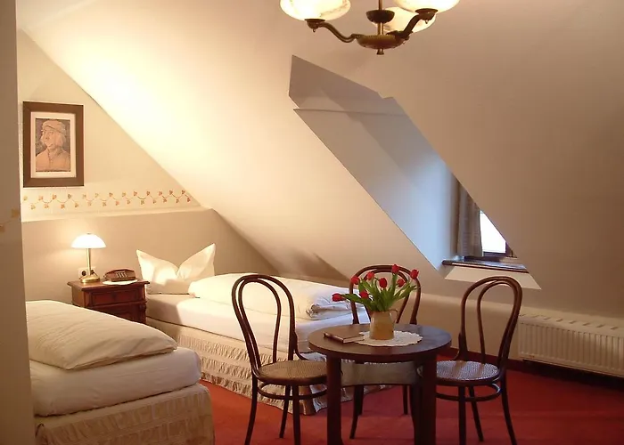 Und Dreibeiniger Hund Hotell 3*