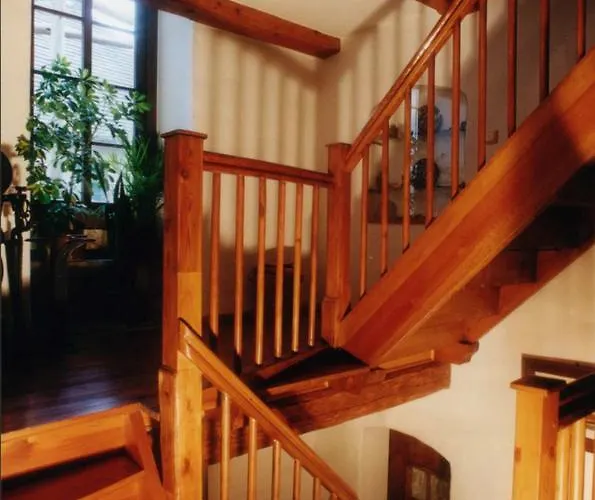 Und Dreibeiniger Hund Hotell